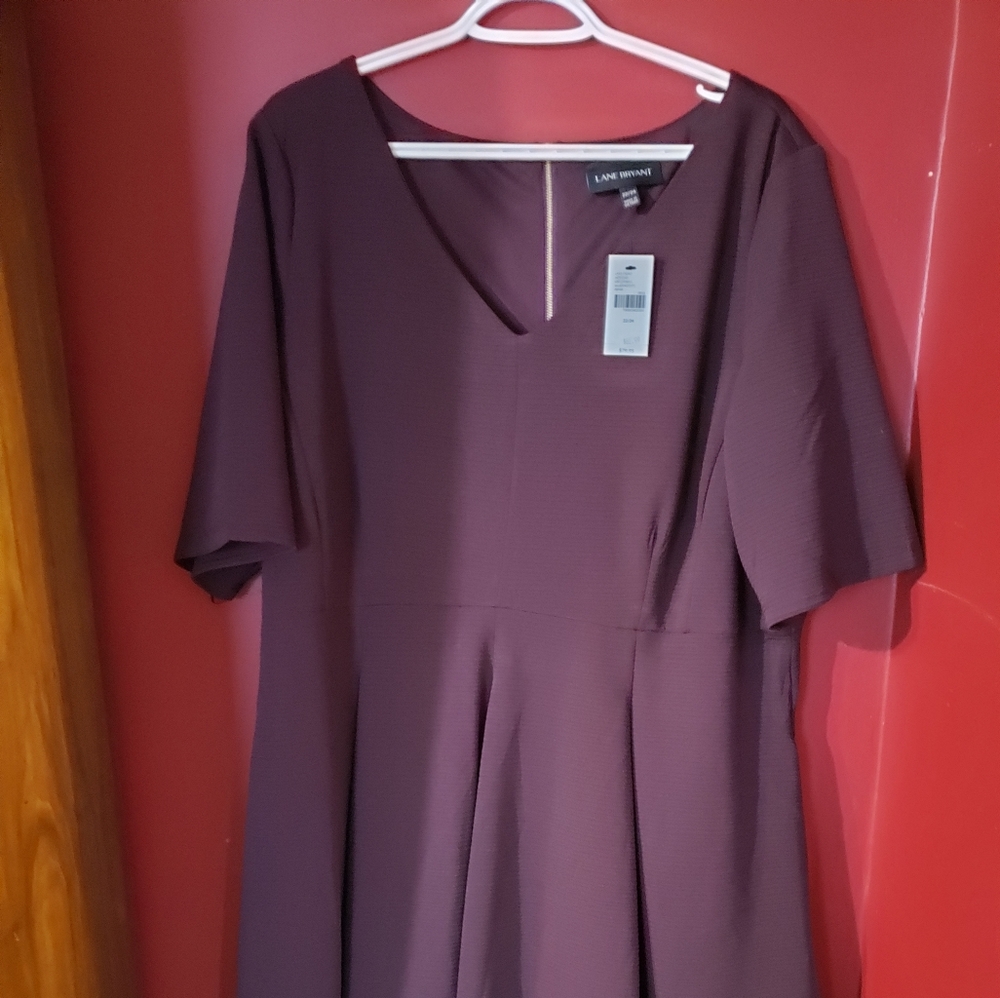 NWT Burgundy Dress